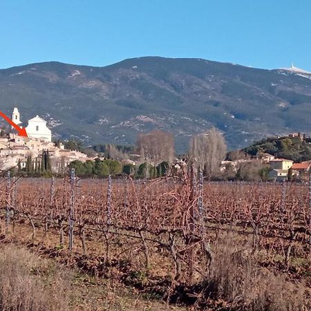 Studio Tout Confort En Provence Mont Ventoux. Bédoin Eksteriør billede