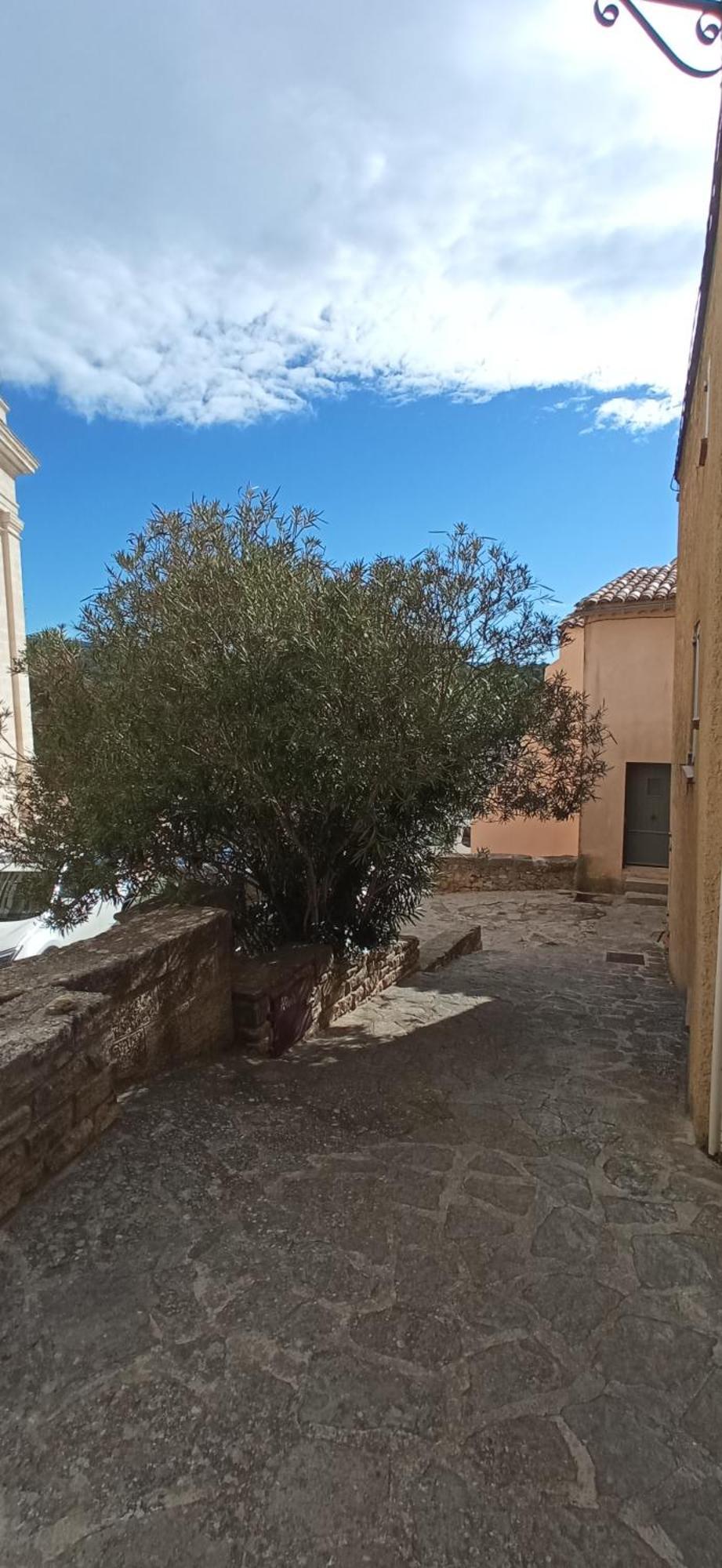 Studio Tout Confort En Provence Mont Ventoux. Bédoin Eksteriør billede