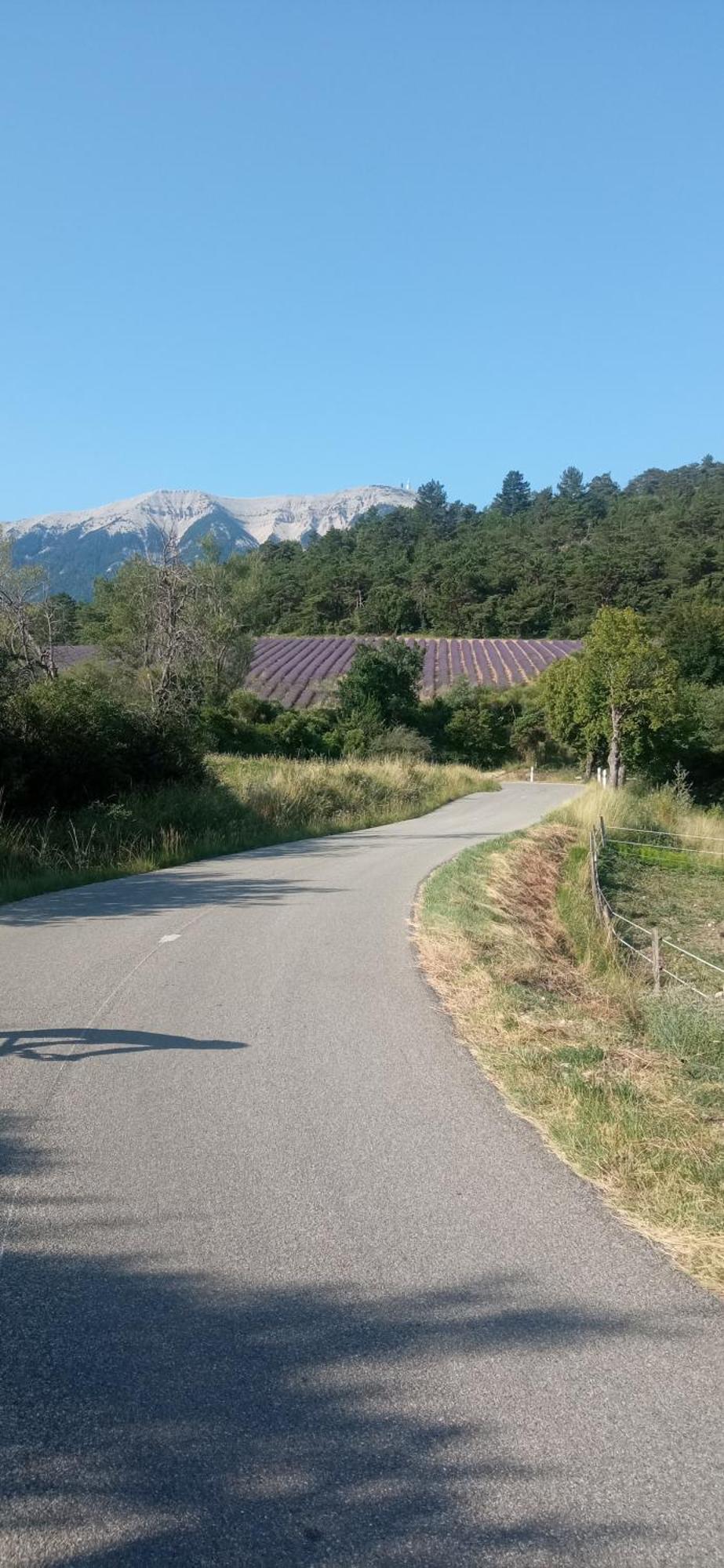 Studio Tout Confort En Provence Mont Ventoux. Bédoin Eksteriør billede