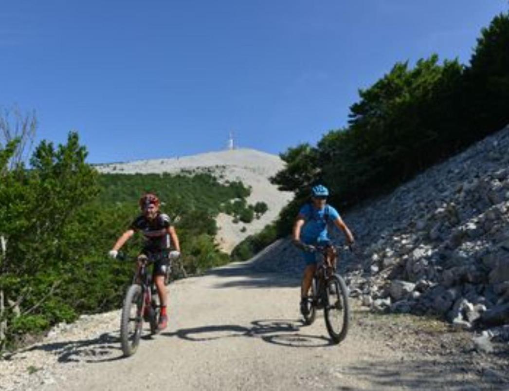 Studio Tout Confort En Provence Mont Ventoux. Bédoin Eksteriør billede