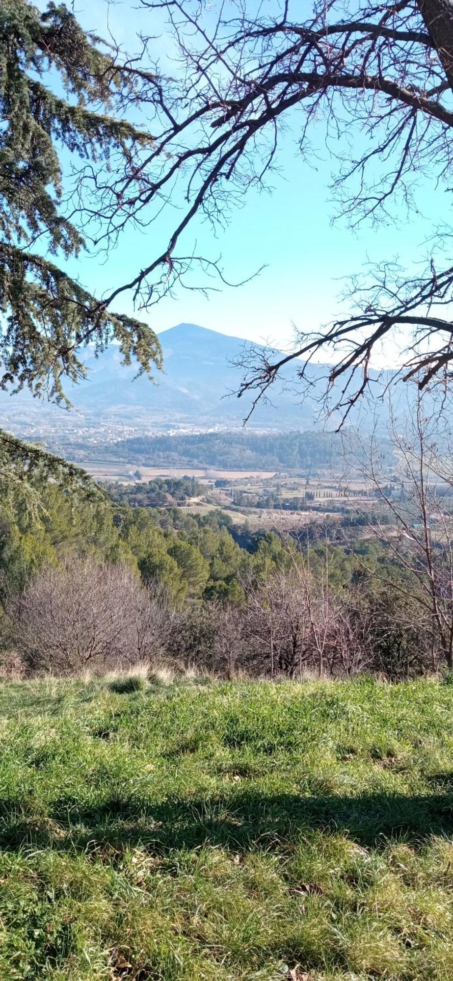 Studio Tout Confort En Provence Mont Ventoux. Bédoin Eksteriør billede