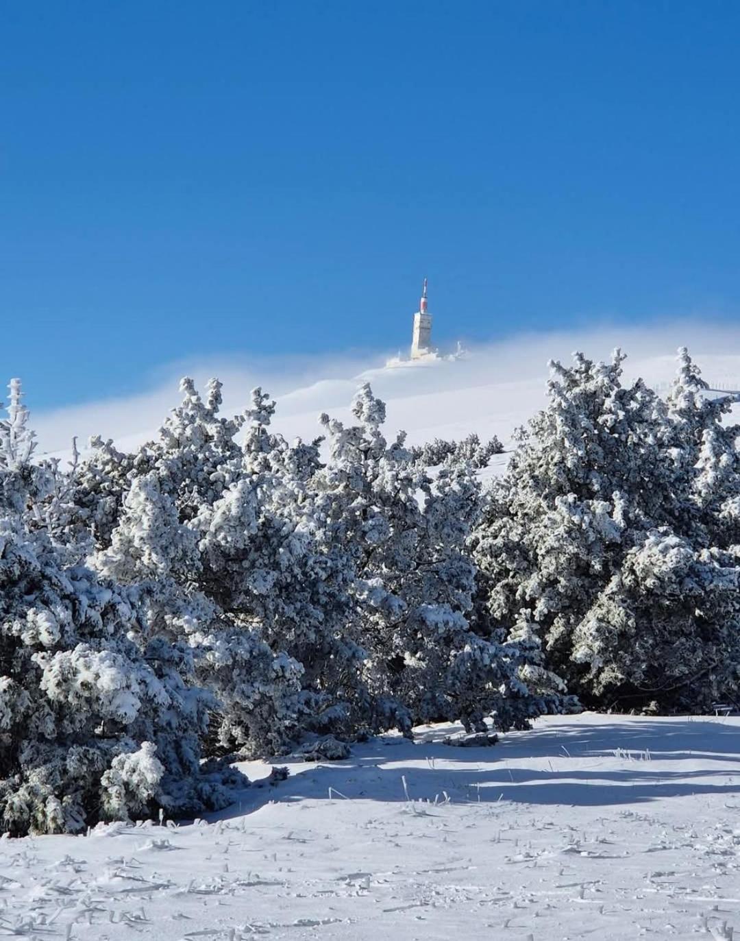 Studio Tout Confort En Provence Mont Ventoux. Bédoin Eksteriør billede