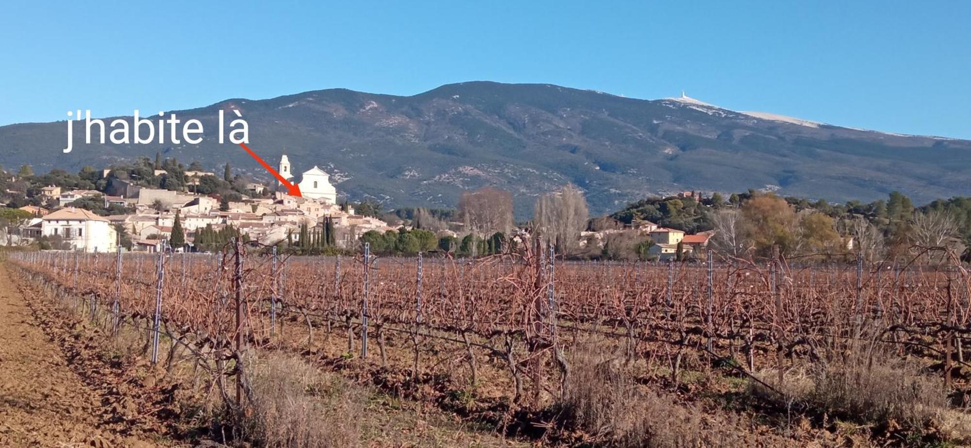 Studio Tout Confort En Provence Mont Ventoux. Bédoin Eksteriør billede
