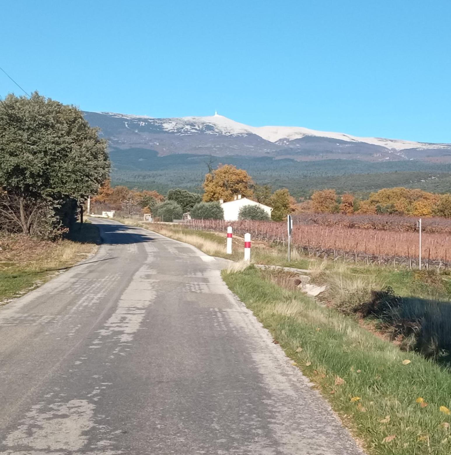 Studio Tout Confort En Provence Mont Ventoux. Bédoin Eksteriør billede